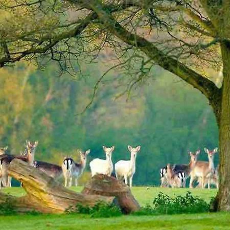 New Forest Retreat Shorefield Country Park Лимингтон Экстерьер фото